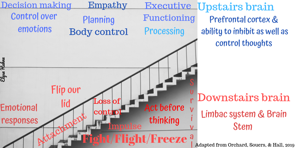 Upstairs_Downstairs brain.png